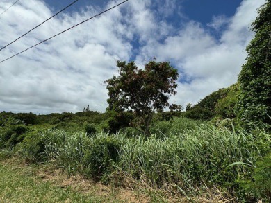 14,000 sf lot available in Discovery Harbour.  Lot is adjacent on Discovery Harbour Golf Course in Hawaii - for sale on GolfHomes.com, golf home, golf lot