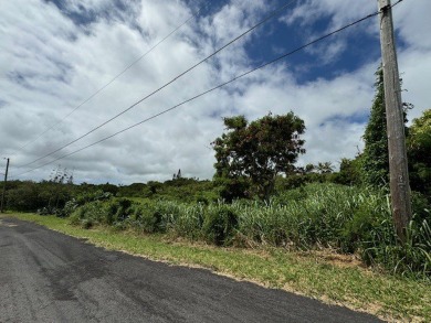 14,000 sf lot available in Discovery Harbour.  Lot is adjacent on Discovery Harbour Golf Course in Hawaii - for sale on GolfHomes.com, golf home, golf lot