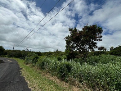 14,000 sf lot available in Discovery Harbour.  Lot is adjacent on Discovery Harbour Golf Course in Hawaii - for sale on GolfHomes.com, golf home, golf lot