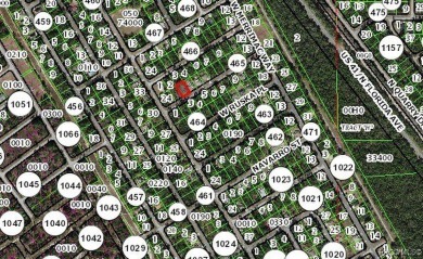 Picturesque homesite in Citrus Springs offering an incredible on Citrus Springs Country Club in Florida - for sale on GolfHomes.com, golf home, golf lot