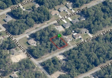 Picturesque homesite in Citrus Springs offering an incredible on Citrus Springs Country Club in Florida - for sale on GolfHomes.com, golf home, golf lot