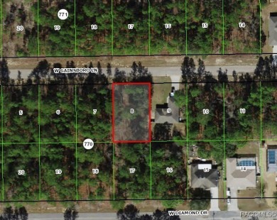 Picturesque homesite in Citrus Springs offering an incredible on Citrus Springs Country Club in Florida - for sale on GolfHomes.com, golf home, golf lot