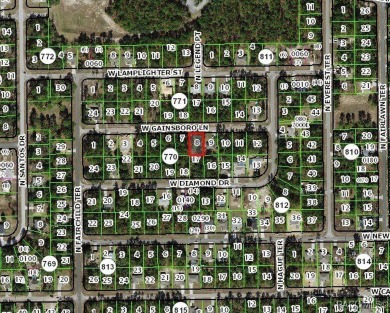 Picturesque homesite in Citrus Springs offering an incredible on Citrus Springs Country Club in Florida - for sale on GolfHomes.com, golf home, golf lot