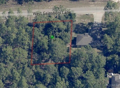 Picturesque homesite in Citrus Springs offering an incredible on Citrus Springs Country Club in Florida - for sale on GolfHomes.com, golf home, golf lot