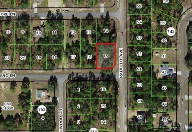 Picturesque homesite in Citrus Springs offering an incredible on Citrus Springs Country Club in Florida - for sale on GolfHomes.com, golf home, golf lot