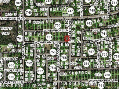 Picturesque homesite in Citrus Springs offering an incredible on Citrus Springs Country Club in Florida - for sale on GolfHomes.com, golf home, golf lot