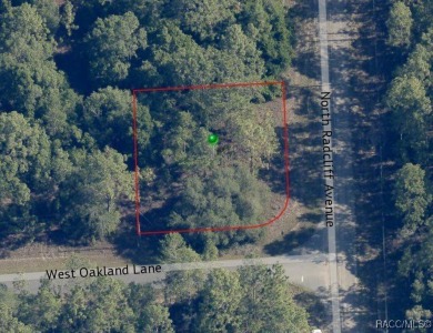 Picturesque homesite in Citrus Springs offering an incredible on Citrus Springs Country Club in Florida - for sale on GolfHomes.com, golf home, golf lot