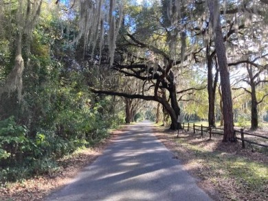 This lot sits on the quiet and lovely winding & secluded Oak on Sapelo Hammock Golf Club in Georgia - for sale on GolfHomes.com, golf home, golf lot