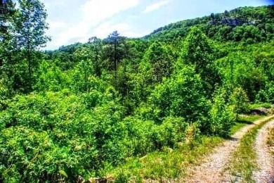 This 2.2 acres of Beautiful raw land in the highly sought after on Hidden Falls At Mt. Airy Golf in Tennessee - for sale on GolfHomes.com, golf home, golf lot