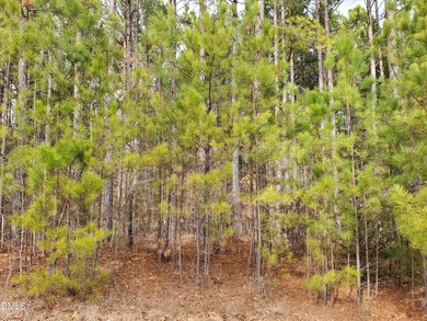 Very RARE opportunity to own one of the few remaining level lots on Chapel Ridge Golf Club in North Carolina - for sale on GolfHomes.com, golf home, golf lot