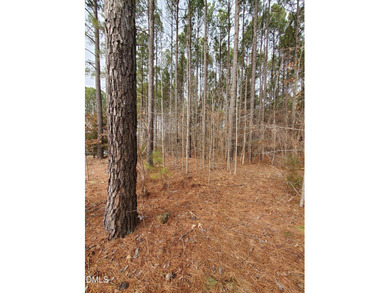 Very RARE opportunity to own one of the few remaining level lots on Chapel Ridge Golf Club in North Carolina - for sale on GolfHomes.com, golf home, golf lot