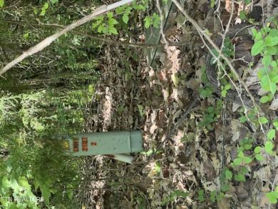 ant a nice building lot that backs up to the golf course and on Woodlake Golf Club in Tennessee - for sale on GolfHomes.com, golf home, golf lot