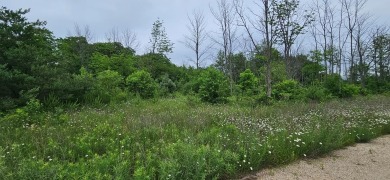 Beautiful .8 acre lot with woods and meadow.  Great homesite for on The Orchards At Egg Harbor in Wisconsin - for sale on GolfHomes.com, golf home, golf lot