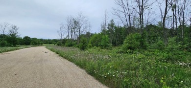 Beautiful .8 acre lot with woods and meadow.  Great homesite for on The Orchards At Egg Harbor in Wisconsin - for sale on GolfHomes.com, golf home, golf lot