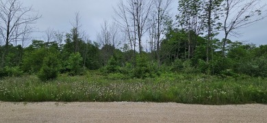 Beautiful .8 acre lot with woods and meadow.  Great homesite for on The Orchards At Egg Harbor in Wisconsin - for sale on GolfHomes.com, golf home, golf lot
