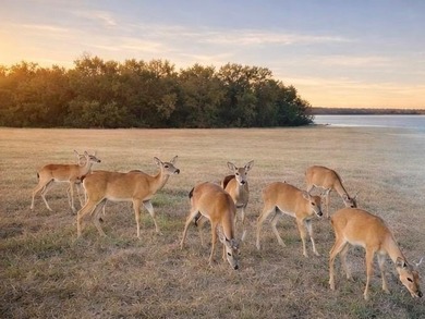 Elegant residence located just off the tee of the golf course in on The Golf Club at Resort Eagle Mountain Lake in Texas - for sale on GolfHomes.com, golf home, golf lot