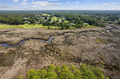 One of the last remaining marsh front lots in Osprey Cove! Lot on The Club At Osprey Cove in Georgia - for sale on GolfHomes.com, golf home, golf lot