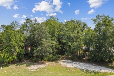 One of the last remaining marsh front lots in Osprey Cove! Lot on The Club At Osprey Cove in Georgia - for sale on GolfHomes.com, golf home, golf lot