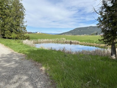 This 1.37 acre prime piece of land offers the perfect blend of on Dominion Meadows Golf Course in Washington - for sale on GolfHomes.com, golf home, golf lot