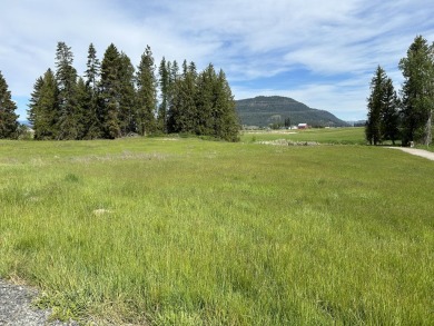 This 1.37 acre prime piece of land offers the perfect blend of on Dominion Meadows Golf Course in Washington - for sale on GolfHomes.com, golf home, golf lot