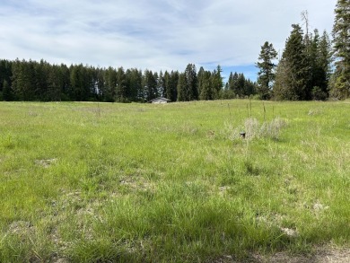 This 1.37 acre prime piece of land offers the perfect blend of on Dominion Meadows Golf Course in Washington - for sale on GolfHomes.com, golf home, golf lot