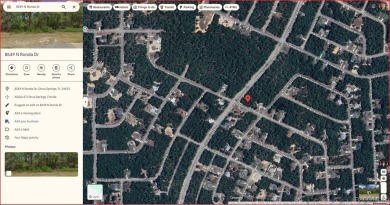 BUILD or INVEST in your BEAUTIFUL neighborhood here on Ronda Dr on Citrus Springs Country Club in Florida - for sale on GolfHomes.com, golf home, golf lot