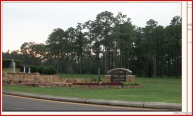 BUILD or INVEST in your BEAUTIFUL neighborhood here on Ronda Dr on Citrus Springs Country Club in Florida - for sale on GolfHomes.com, golf home, golf lot