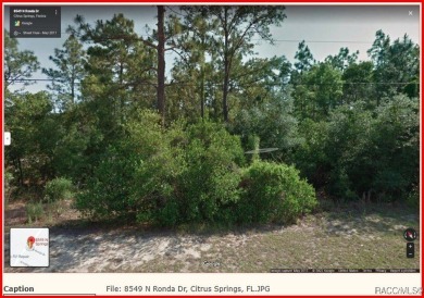 BUILD or INVEST in your BEAUTIFUL neighborhood here on Ronda Dr on Citrus Springs Country Club in Florida - for sale on GolfHomes.com, golf home, golf lot