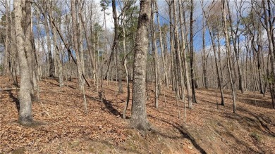 This beautiful lot on 1.13 acres in the highly sought-after Big on Big Canoe Golf Club - Cherokee in Georgia - for sale on GolfHomes.com, golf home, golf lot