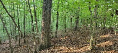 Rare mostly level double lot on Point road is now available for on The Trail At Chickasaw Pointe in South Carolina - for sale on GolfHomes.com, golf home, golf lot