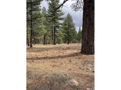 6.41 Acre Wooded lot. Adjacent to Montreux. Property is Located on Montreux Golf and Country Club in Nevada - for sale on GolfHomes.com, golf home, golf lot