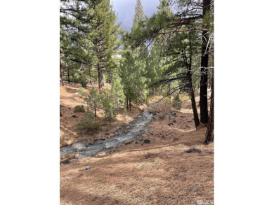6.41 Acre Wooded lot. Adjacent to Montreux. Property is Located on Montreux Golf and Country Club in Nevada - for sale on GolfHomes.com, golf home, golf lot