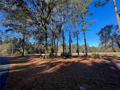 Come see what *Bluff Life* is all about! Cooper's Point is a on Sapelo Hammock Golf Club in Georgia - for sale on GolfHomes.com, golf home, golf lot