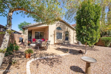 Beautiful single story home with relaxing, idyllic backyard on a on The Golf Club At Johnson Ranch in Arizona - for sale on GolfHomes.com, golf home, golf lot