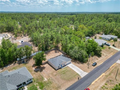 Discover the perfect blend of modern updates and move-in-ready on Citrus Springs Country Club in Florida - for sale on GolfHomes.com, golf home, golf lot