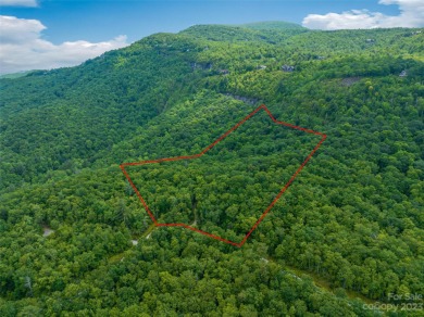 Perfectly located overlooking NCs largest private lake, Toxaway on Lake Toxaway Country Club in North Carolina - for sale on GolfHomes.com, golf home, golf lot