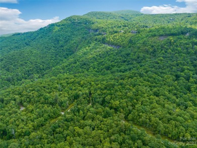 Perfectly located overlooking NCs largest private lake, Toxaway on Lake Toxaway Country Club in North Carolina - for sale on GolfHomes.com, golf home, golf lot