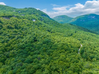 Perfectly located overlooking NCs largest private lake, Toxaway on Lake Toxaway Country Club in North Carolina - for sale on GolfHomes.com, golf home, golf lot