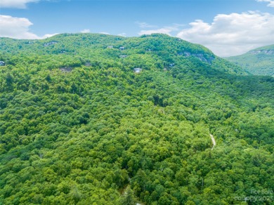 Perfectly located overlooking NCs largest private lake, Toxaway on Lake Toxaway Country Club in North Carolina - for sale on GolfHomes.com, golf home, golf lot