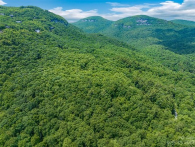 Perfectly located overlooking NCs largest private lake, this on Lake Toxaway Country Club in North Carolina - for sale on GolfHomes.com, golf home, golf lot