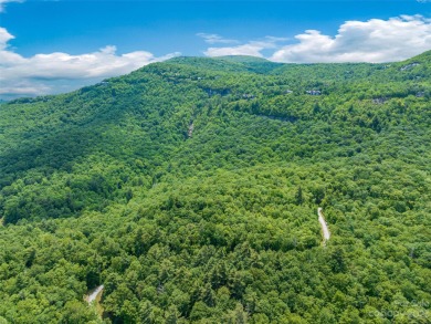 Perfectly located overlooking NCs largest private lake, this on Lake Toxaway Country Club in North Carolina - for sale on GolfHomes.com, golf home, golf lot