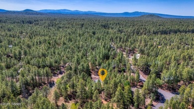SIGNIFICANT PRICE IMPROVEMENT AND FURINITURE INCLUDED!  2500 sq on Pinetop Lakes Country Club in Arizona - for sale on GolfHomes.com, golf home, golf lot