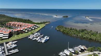 This PENTHOUSE condominium is *SITTING ON TOP OF THE WORLD!!* A on Burnt Store Golf Club in Florida - for sale on GolfHomes.com, golf home, golf lot