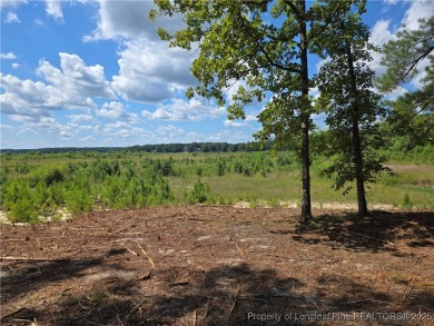 A Gorgeous Lot with an Absolutely Stunning View! Recently on Woodlake Country Club in North Carolina - for sale on GolfHomes.com, golf home, golf lot