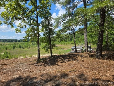 A Gorgeous Lot with an Absolutely Stunning View! Recently on Woodlake Country Club in North Carolina - for sale on GolfHomes.com, golf home, golf lot