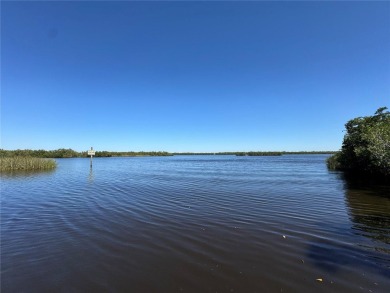 **Prime Residential Vacant Land Opportunity in Southwest on Deep Creek Golf Club in Florida - for sale on GolfHomes.com, golf home, golf lot