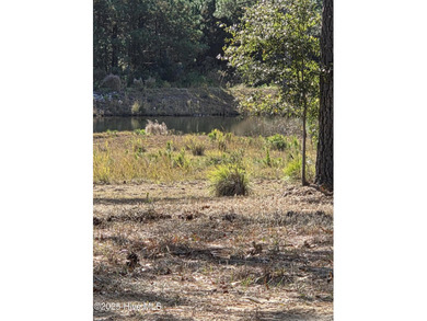 Ocean Ridge Plantation is home to the elegant country club on Sea Trail Golf Resort in North Carolina - for sale on GolfHomes.com, golf home, golf lot