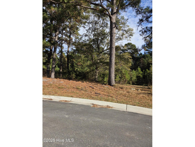 Ocean Ridge Plantation is home to the elegant country club on Sea Trail Golf Resort in North Carolina - for sale on GolfHomes.com, golf home, golf lot