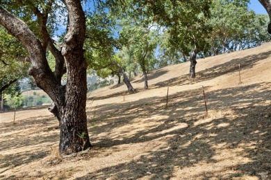 Family compound potential - 2 parcels sold together. *1990 and on Mayacama Golf Club in California - for sale on GolfHomes.com, golf home, golf lot