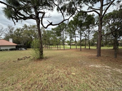 Build your dream home on this spacious 11,749 sq ft homesite in on Black Diamond Ranch Golf Course in Florida - for sale on GolfHomes.com, golf home, golf lot